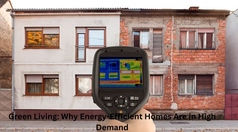 Green Living: Why Energy-Efficient Homes Are in High Demand